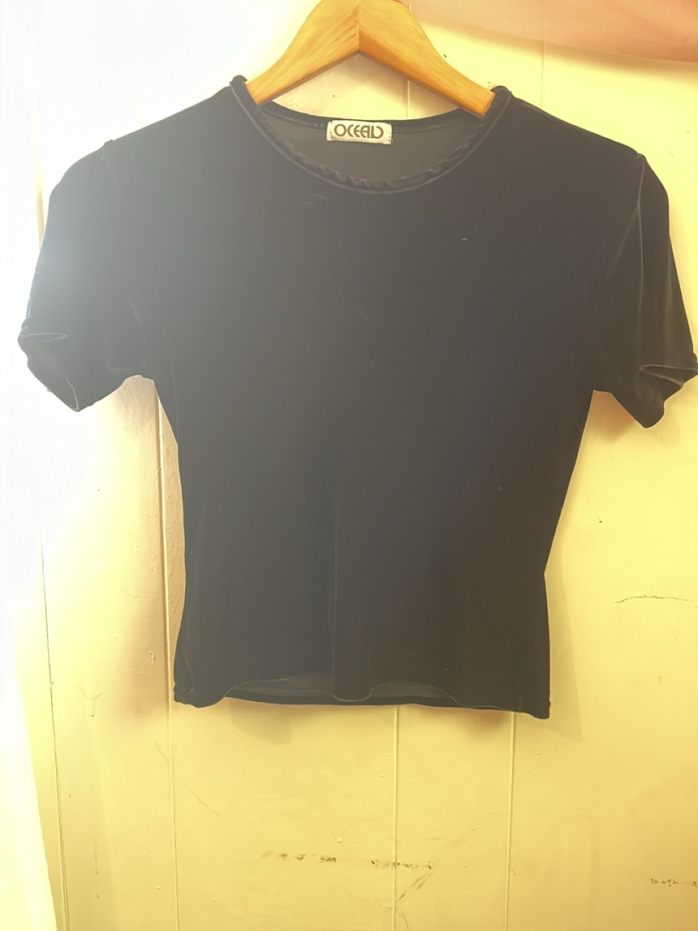 Black Velvet Short Sleeve Crewneck Top